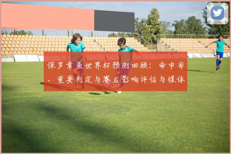 保罗章鱼世界杯预测回顾:命中率、重要判定与赛后影响评估与媒体反响