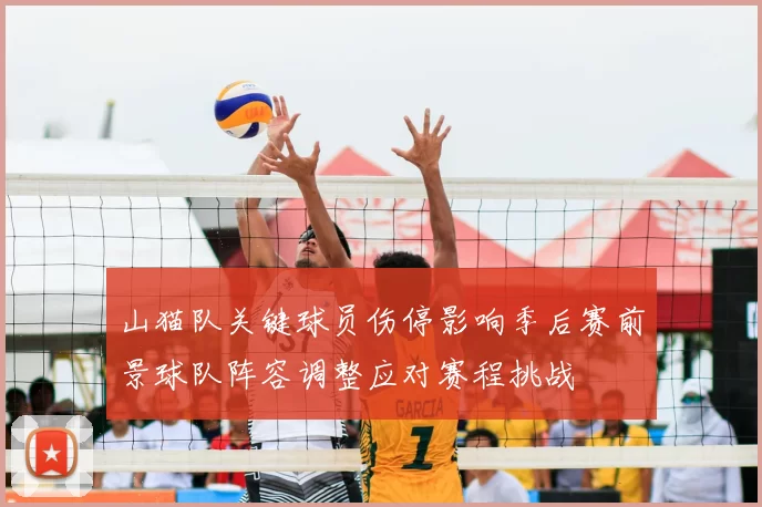 山猫队关键球员伤停影响季后赛前景球队阵容调整应对赛程挑战