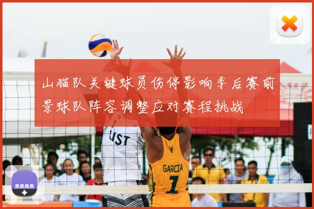 山猫队关键球员伤停影响季后赛前景球队阵容调整应对赛程挑战