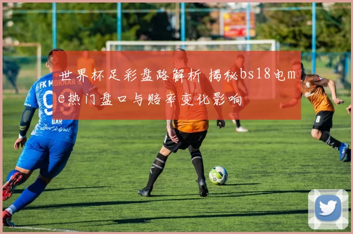 世界杯足彩盘路解析 揭秘bs18电me热门盘口与赔率变化影响