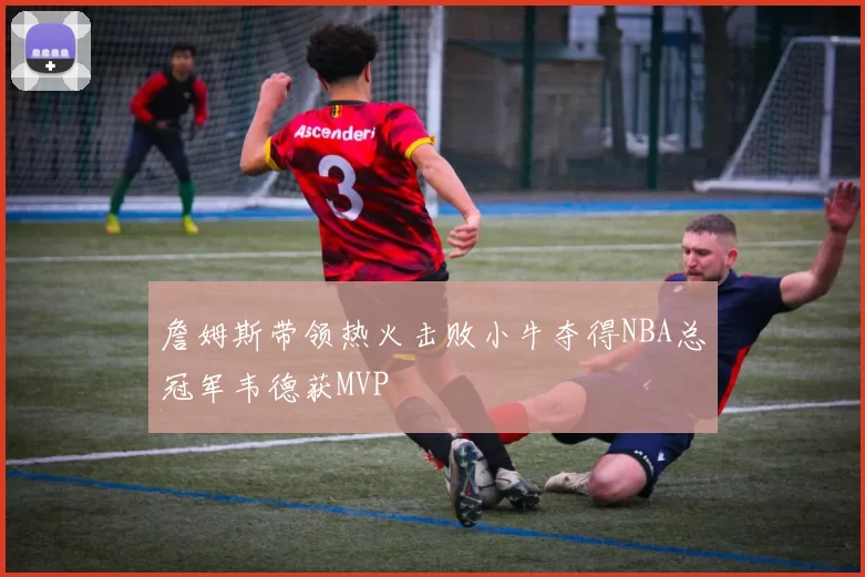 詹姆斯带领热火击败小牛夺得NBA总冠军韦德获MVP
