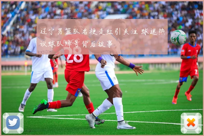 辽宁男篮队名梗走红引关注 球迷热议球队绰号背后故事