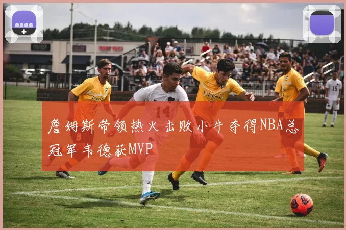 詹姆斯带领热火击败小牛夺得NBA总冠军韦德获MVP