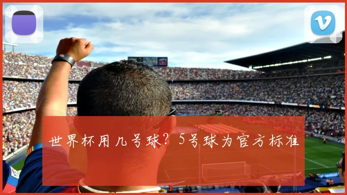 世界杯用几号球？5号球为官方标准