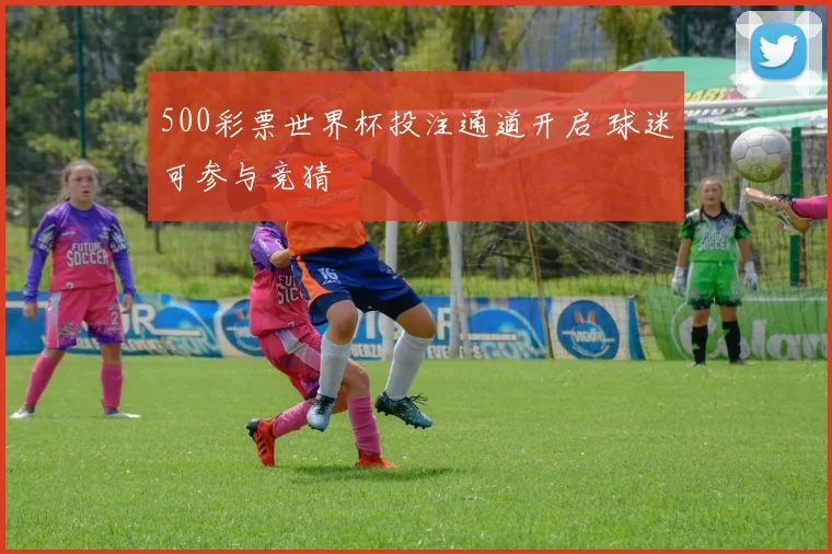 500彩票世界杯投注通道开启 球迷可参与竞猜