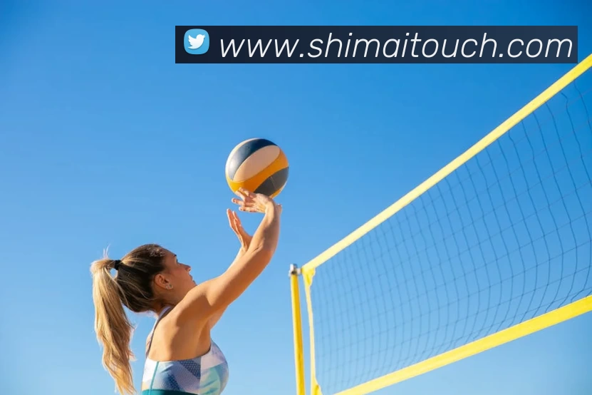 多媒体互动体验